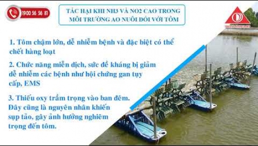 Nguyên nhân và cách xử lý khí độc NH3 và NO2 hiệu quả!!!