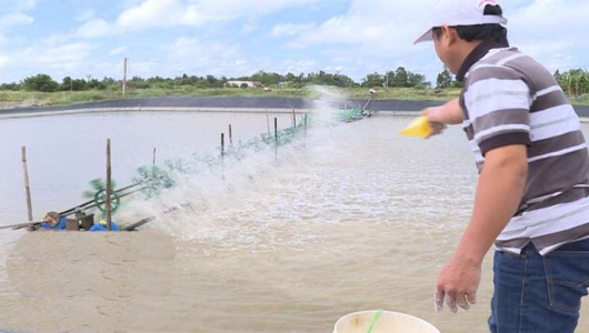 Xử lý các vấn đề xảy ra trong mùa mưa