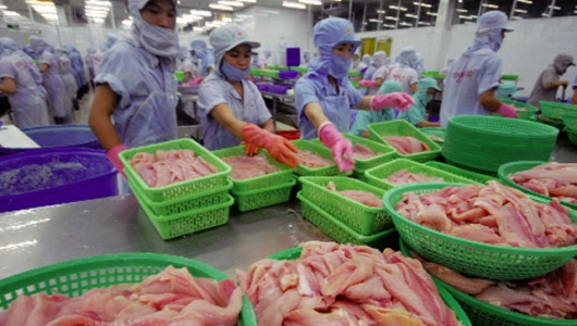 Xuất khẩu thủy sản lộ rõ sự manh mún