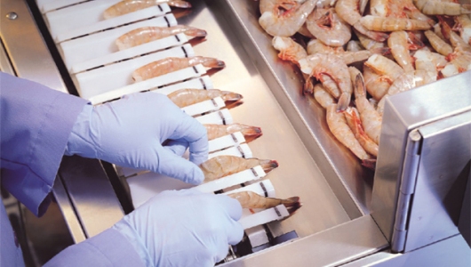 Ecuador: Khó khăn bủa vây xuất khẩu tôm