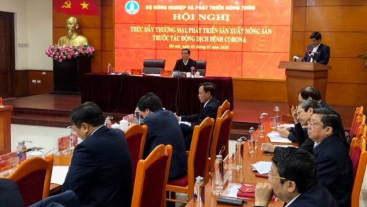 Xuất khẩu nông sản thời dịch: Trong nguy có cơ