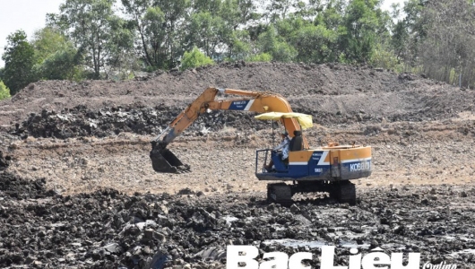 Tháng 2/2020: Hơn 300ha tôm nuôi bị thiệt hại