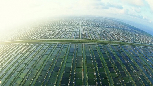 Indonesia khôi phục 300.000ha trại nuôi tôm bỏ hoang