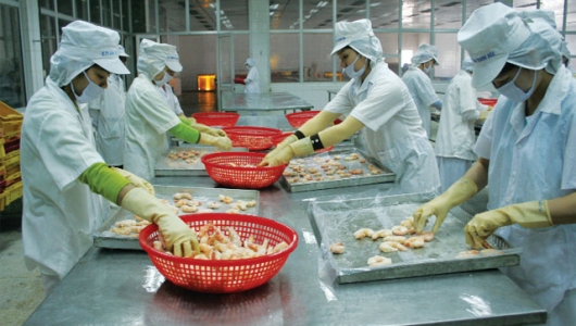 Cơ hội của ngành tôm thời hậu COVID-19