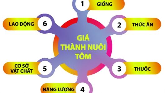 Một số biện pháp giảm giá thành nuôi tôm