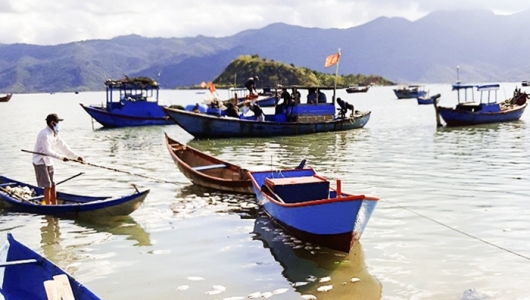 Khánh Hòa: Cá chết, người nuôi lao đao