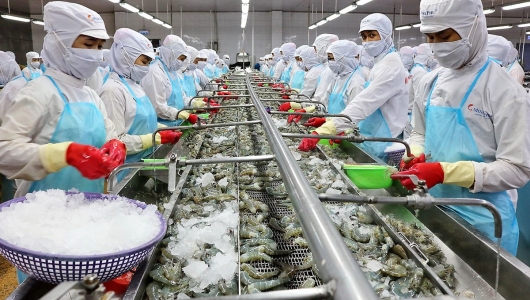 Xuất khẩu cá tra giảm mạnh, xuất khẩu tôm lại tăng