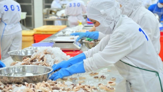 Tận dụng cơ hội gia tăng xuất khẩu