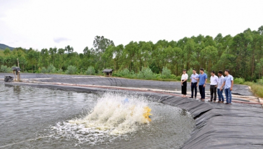 Chuẩn bị kỹ phòng chống dịch bệnh thủy sản mùa mưa lũ