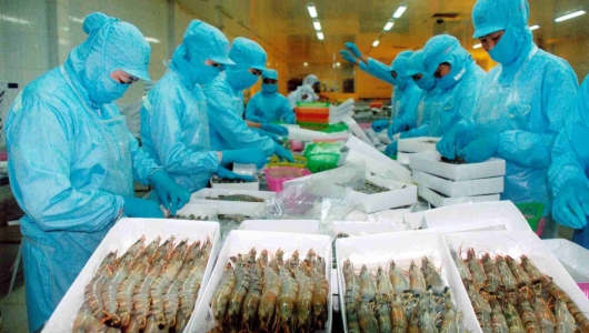 Thủ tướng phê duyệt Đề án phát triển ngành chế biến thủy sản giai đoạn 2021-2030