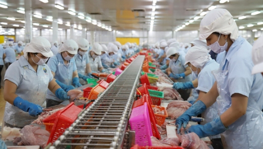 Làm gì để giấc mơ xuất khẩu thủy sản 10 tỉ USD không xa vời?