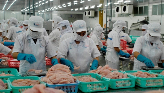 Xuất khấu cá tra 3 tháng đầu năm 2022 tăng 90% so với cùng kỳ năm 2021