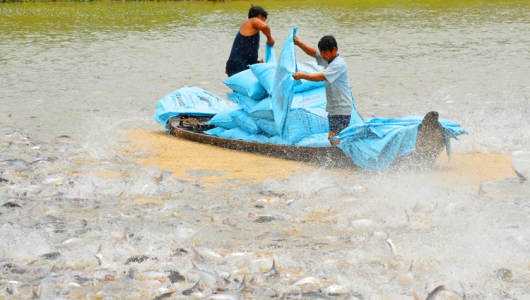 NẮM BẮT CƠ HỘI MỚI CHO XUẤT KHẨU THỦY SẢN