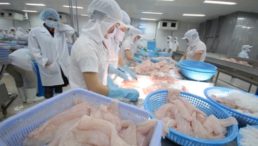 Thủy sản sang Trung Quốc vẫn đầy triển vọng trong năm 2020