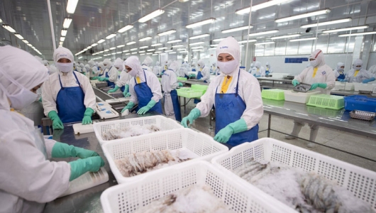 5 thị trường nhập khẩu tôm lớn nhất của Việt Nam