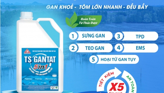 TS GANTAT 5in1- Giải Pháp Bảo Vệ Gan Toàn Diện Giúp Tôm Khỏe Mạnh, Tiết Kiệm Chi Phí