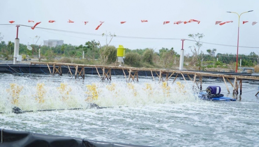 Đảm bảo an toàn thủy sản mùa mưa bão