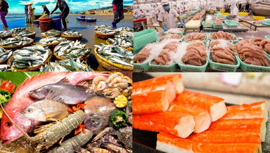 Bức tranh thủy sản Việt Nam nửa cuối 2025