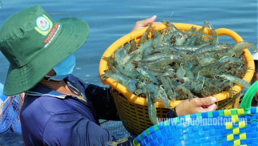 Nâng cao năng lực cạnh tranh cho các ngành hàng chịu tác động từ thuế đối ứng của Hoa Kỳ