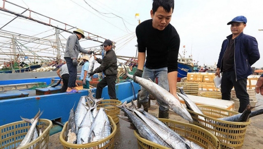 Thủy sản vẫn là trụ cột ngành nông nghiệp