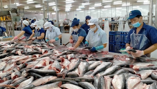 Nhận diện thị trường xuất khẩu thủy sản những tháng cuối năm
