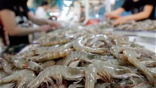 THỦY SẢN VIỆT NAM ĐÓN CƠ HỘI LỚN TỪ THỊ TRƯỜNG TRUNG QUỐC