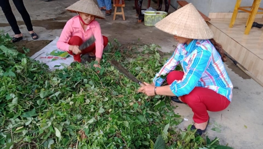 Bạc Liêu: Hỗ trợ nông dân nuôi trồng thủy sản an toàn