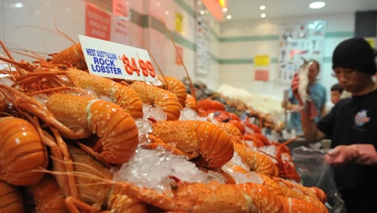 Virus corona ảnh hưởng thế nào đến ngành tôm hùm toàn cầu? Đánh giá bài viết