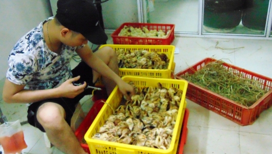 Bắc Giang: Tăng cường công tác phòng chống dịch cúm gia cầm