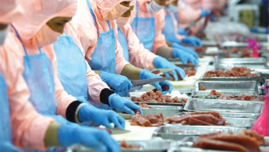 Trông chờ thị trường nội địa