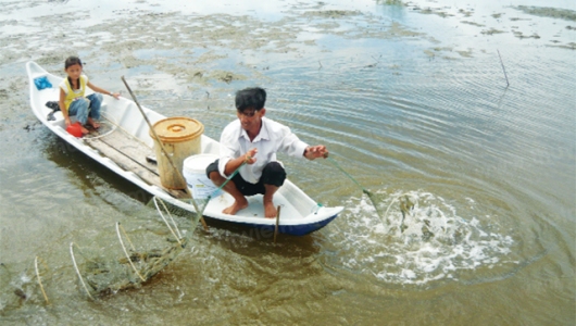 Ứng phó hạn, mặn trong nuôi tôm