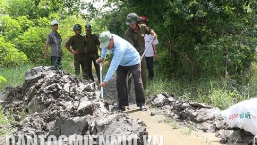 Canh tác lúa và cây ăn quả khi đất hạn, mặn