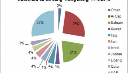 Xuất khẩu cá tra sang Trung Đông chờ mở cửa lại thị trường Ảrập Xêút