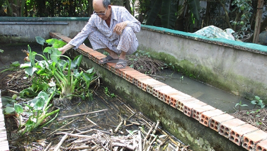 Đồng Tháp: Giá lươn thương phẩm tăng cao