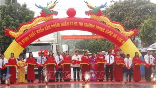 Công bố xuất khẩu nhãn Sơn La