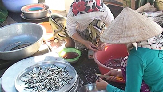 Đồng Tháp: Cá linh xuất hiện muộn ở các chợ